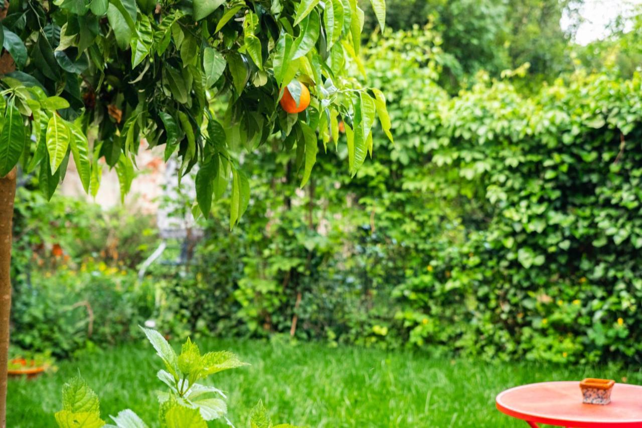 Marylou Gardenhouse Pisa Exterior photo