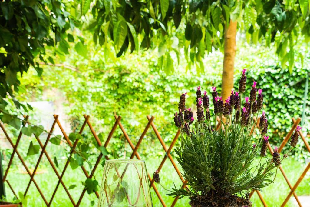 Marylou Gardenhouse Pisa Exterior photo